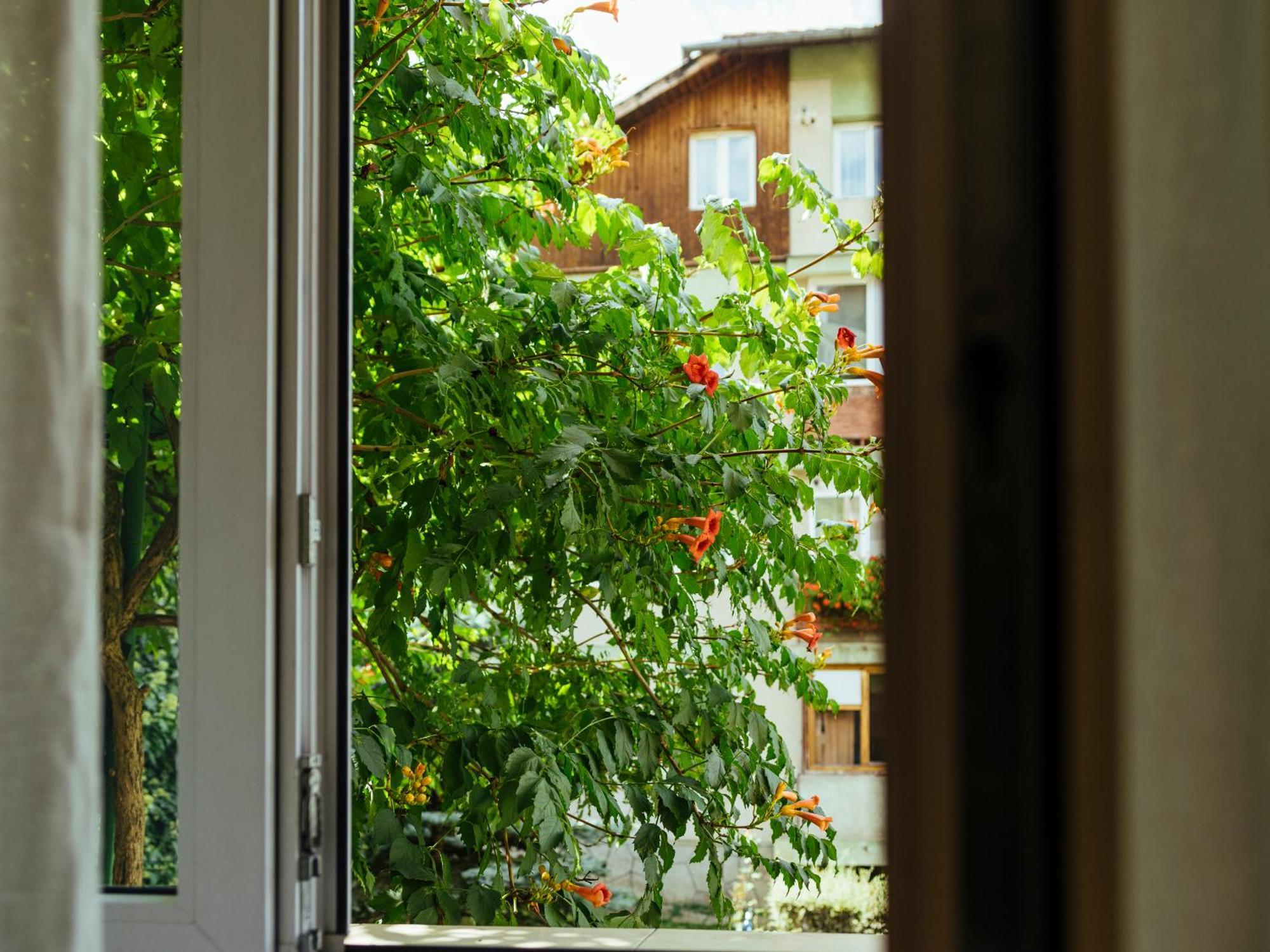 בראשוב Cozy Central Apartment Near The Forest מראה חיצוני תמונה