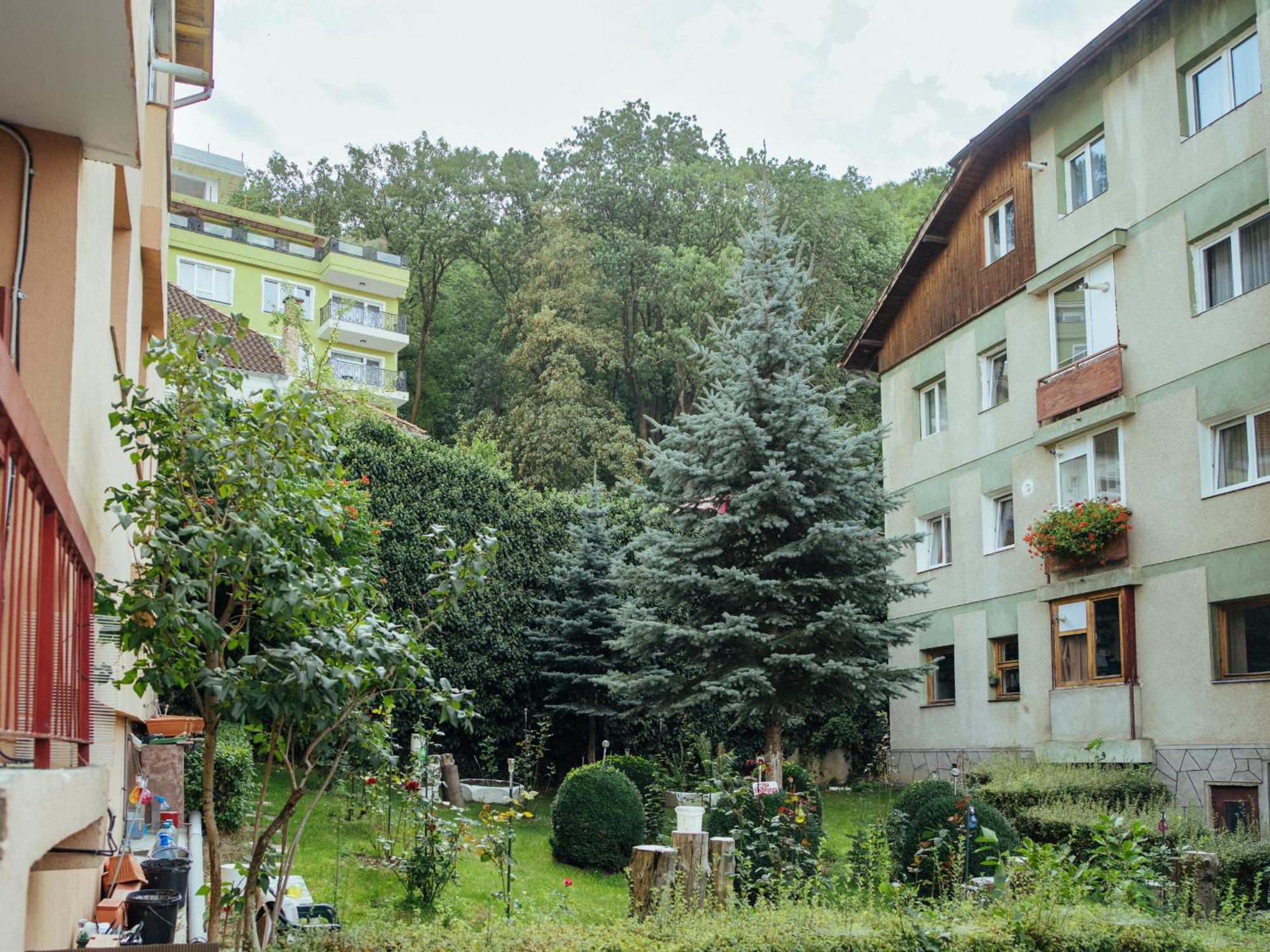 בראשוב Cozy Central Apartment Near The Forest מראה חיצוני תמונה