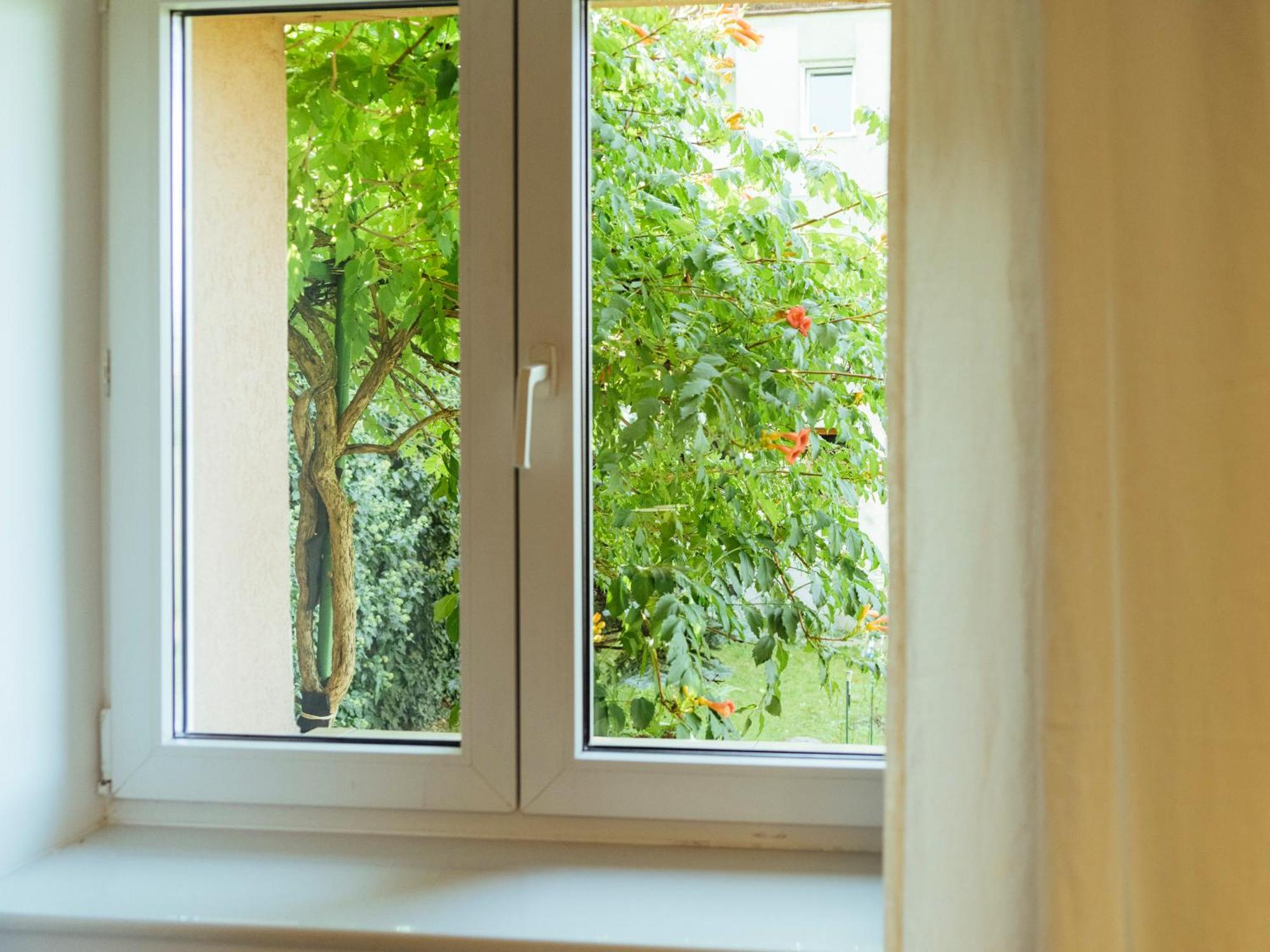 בראשוב Cozy Central Apartment Near The Forest מראה חיצוני תמונה